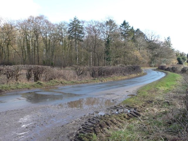 The western boundary of Howgrave Wood