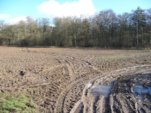 Muddy field entrance west of Howgrave Wood