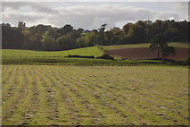 SX9784 : Farmland near Powderham by N Chadwick