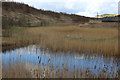 SO1707 : Pond, Central Valley, Ebbw Vale by M J Roscoe