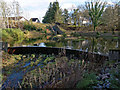 Sediment Pond