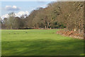 TQ0659 : Wisley Common boundary by Alan Hunt