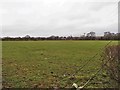 View across the fields towards Tottering Temple Farm