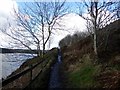 Muddy path by the Wayoh Reservoir