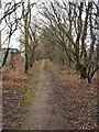 Footpath leading from railway crossing