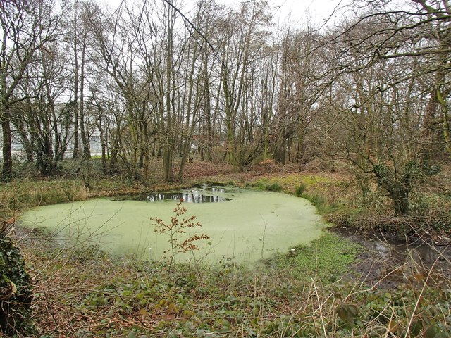 A pond on the industrial estate