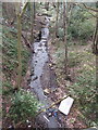 Stream in Elmers Green Wood, Tanhouse, Skelmersdale