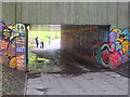 Underpass leading to Evington and Eversley, Tanhouse