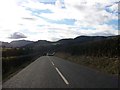 NY4423 : Oncoming flock of sheep on the A592 by Elliott Simpson