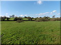 Pasture at Five Fords Farm