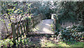 TG1602 : Bridge over the lake at Ketteringham Hall by Evelyn Simak
