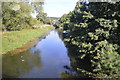 River Great Stour