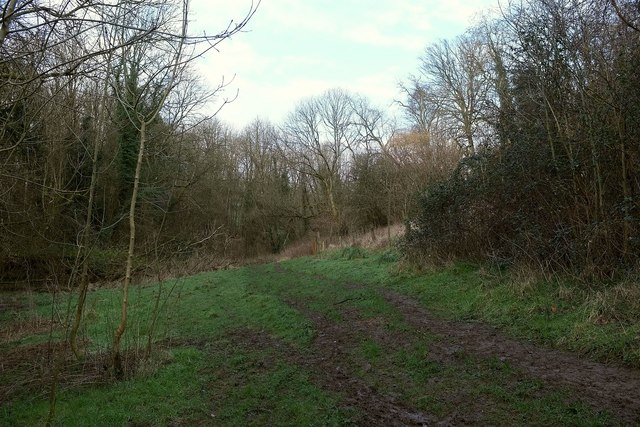 Path, Horsecombe Vale