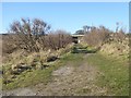 The path up from Ryhope Nook