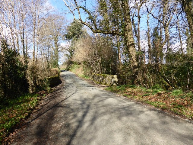 The road to Canonteign from the B3193