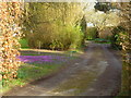 Colourful driveway at Benson