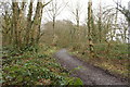 Woodland Path, Doonhill Wood