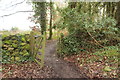 Gate to Woodland Path, Doonhill Wood