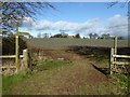 Arable field at Ryall