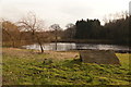 Barbara Heyes Lagoon, Bickerstaffe