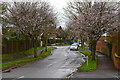 Bridgwater : Haygrove Road