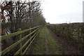 Bridleway alongside the A1035, Leven