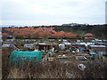 Allotments off Barrowcliff Road, Scarborough