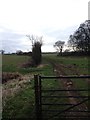 Bridleway near Barratt