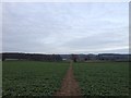 Bridleway near Deenethorpe