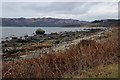 NR7270 : Shore at Port Cill Maluaig by Alan Reid