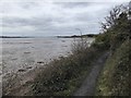 SX9981 : East Devon Way passing mud banks of the Exe by David Smith