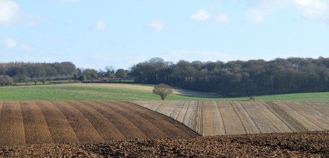 Farmland, Woodcote, Oxfordshire