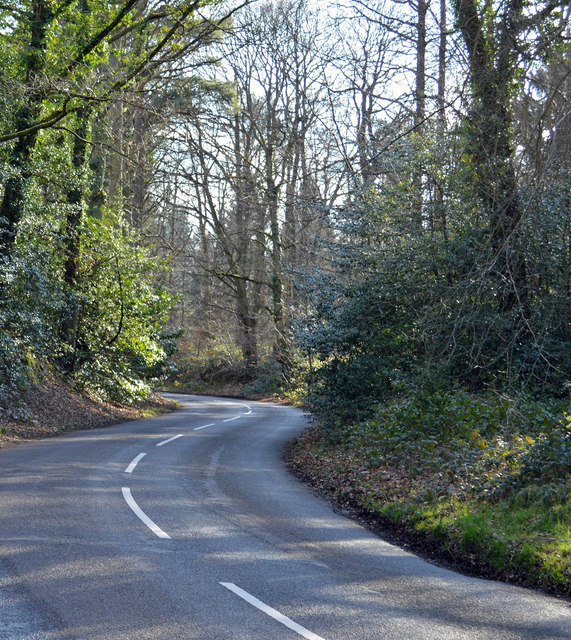 Country road, Mortimer, Berkshire