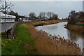 Bridgwater : The River Parrett