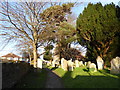 Churchyard, St. Mary Magdalene, South Bersted (b)