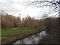 The River Wey at Bramley