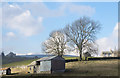 Trees and barns near Arkle Town