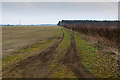 Track heading towards West Moor