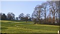 Woodland and farmland