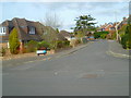 Looking into Danehurst Crescent