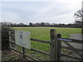 Selmeston and Alciston Cricket Field: late February 2016