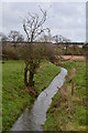 Bridgwater : Small Stream