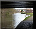 Under the Derby Road Bridge No 6