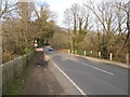 Bridge across the Wey, Bramley