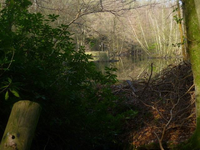 Unnamed pond with islands seen from bridge over stream