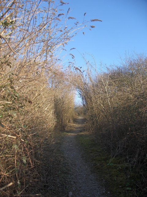 Ascending public footpath by South Cornelly