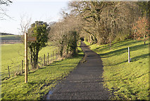 H3906 : Track near Cavan by Rossographer