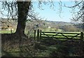 ST7359 : Gate with a view to Combe Hay by Derek Harper
