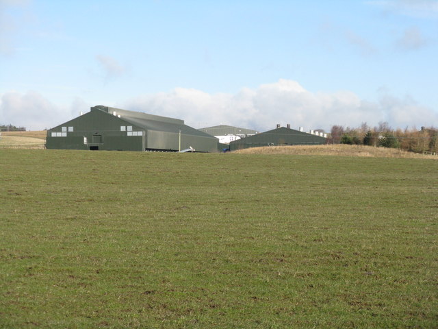 Millennium Farm