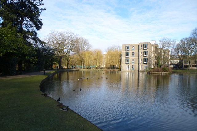 Lakeside near Derwent College